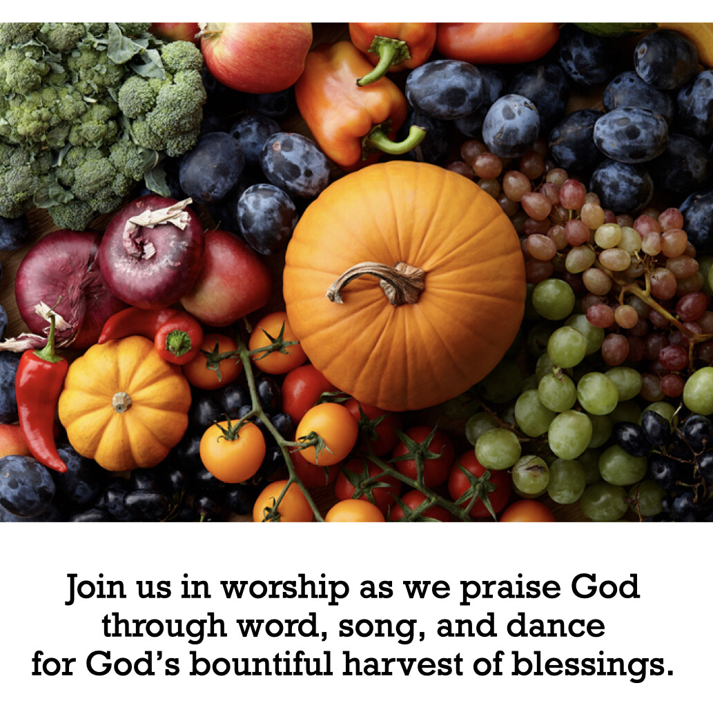 Celebrate the Harvest on Sunday 29 October