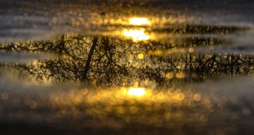 April/ Mai 2023; Empfangen und Widerspiegeln.