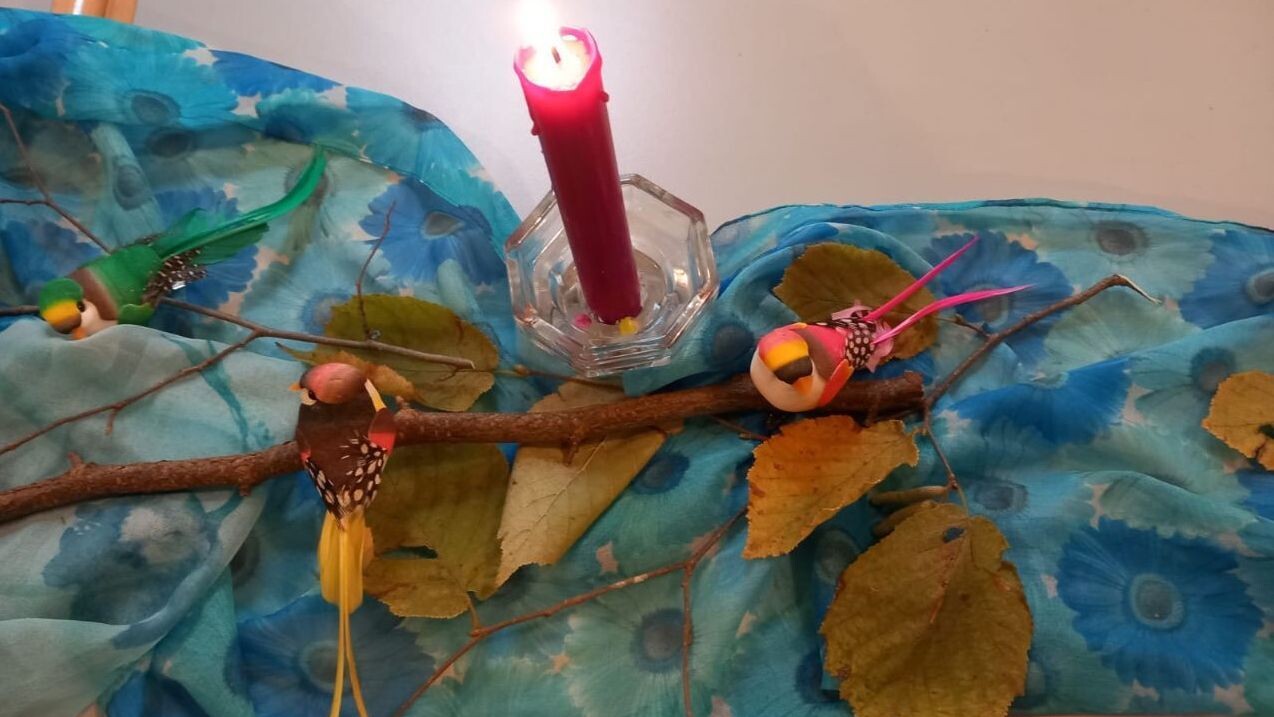 Frei wie ein Vogel Vögel, Licht, gestaltete Mitte
