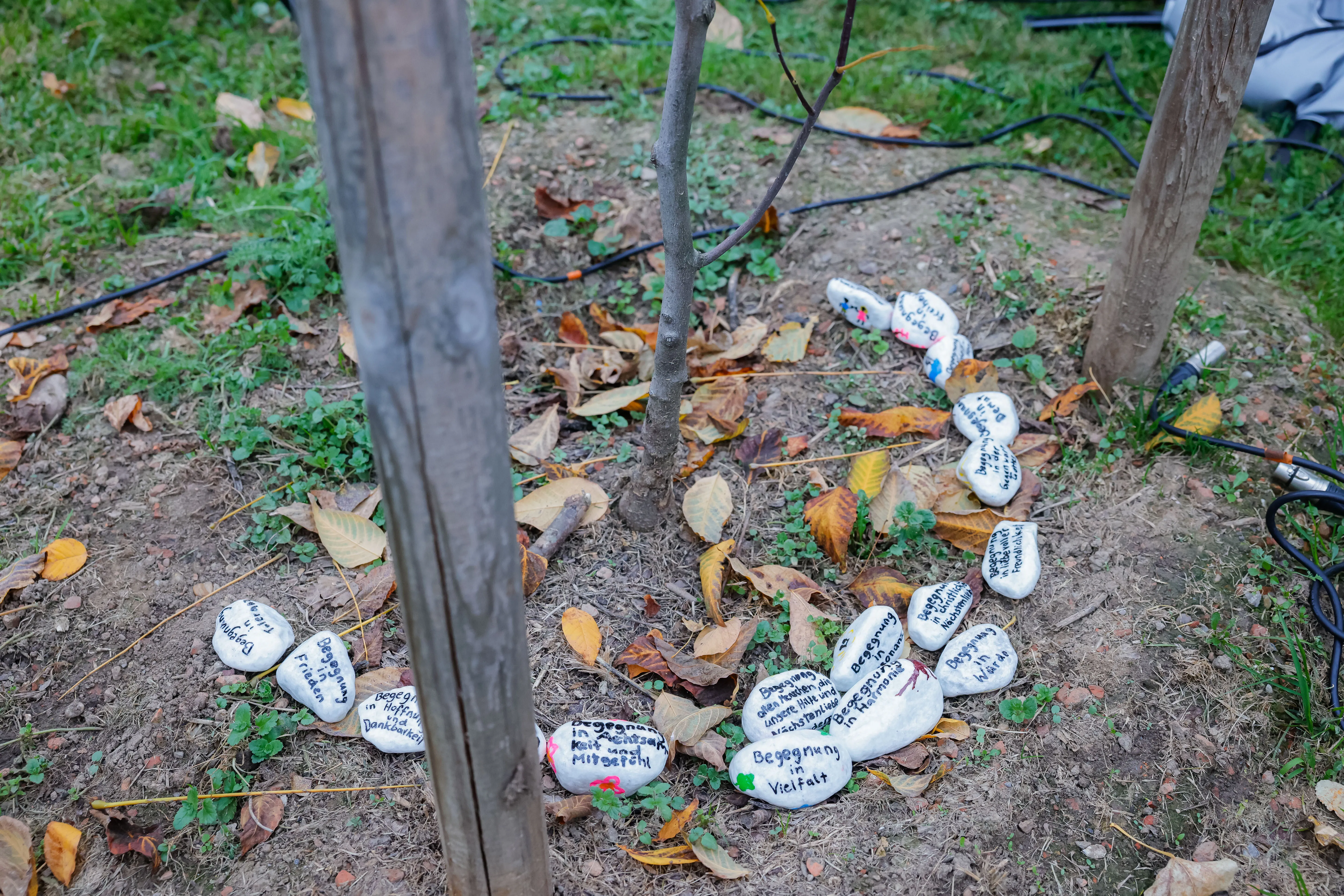 Leben ist Begegnung
Was Begegnung für die einzelnen Religionsgemeinschaften bedeutet.
Beschriftet Steine beim Baum der Religionen im Grazer Volksgarten.