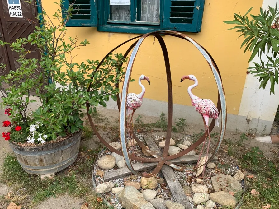 Rust, Weinbau, Flamingos