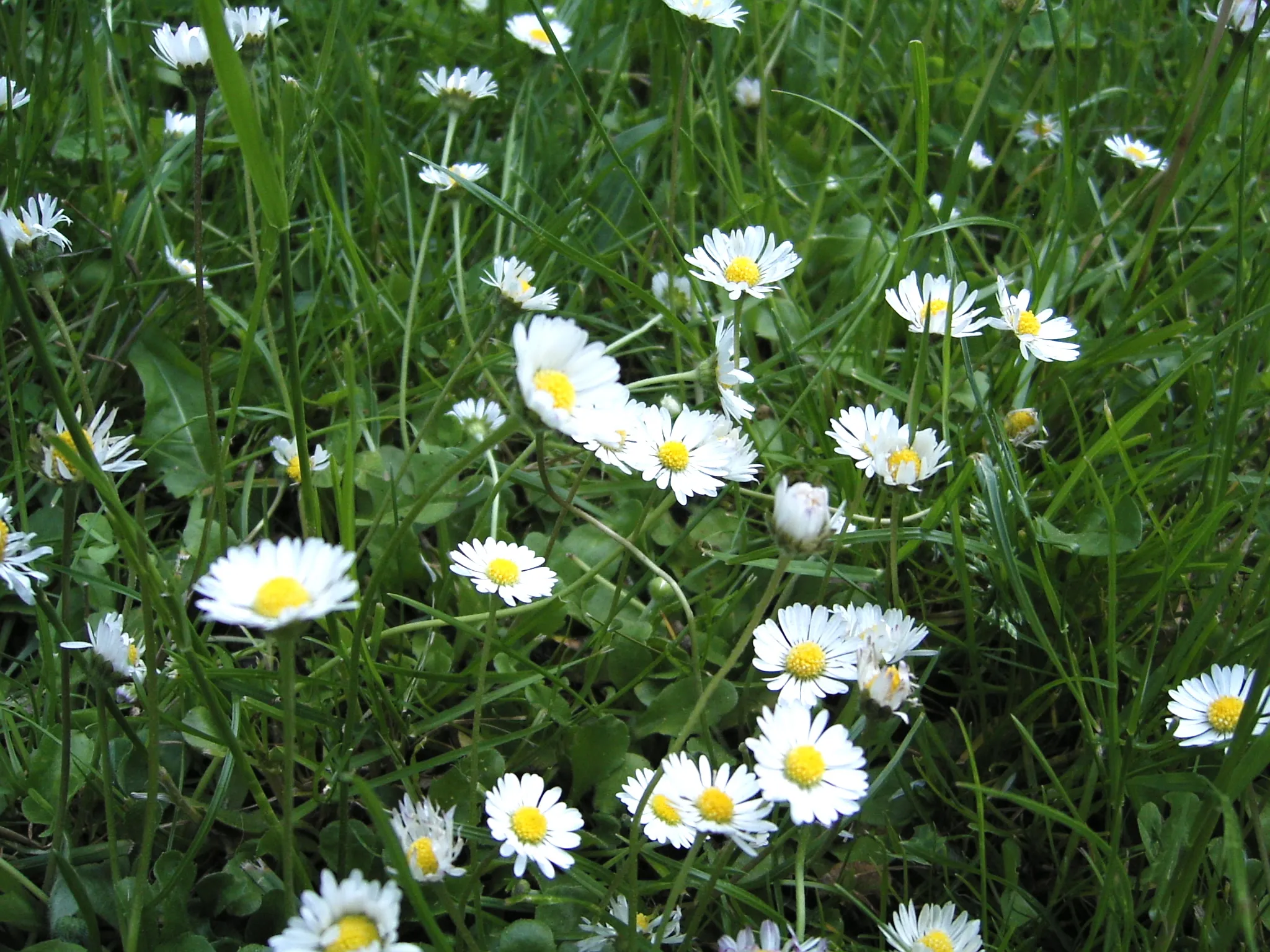 Gruppenfoto vor Bergen