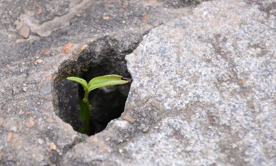 Gedankenstrich Jänner 2026