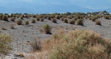 Wüste: Death Valley in Amerika