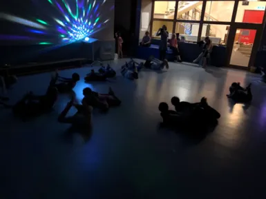 Disko: macht die Robbe!