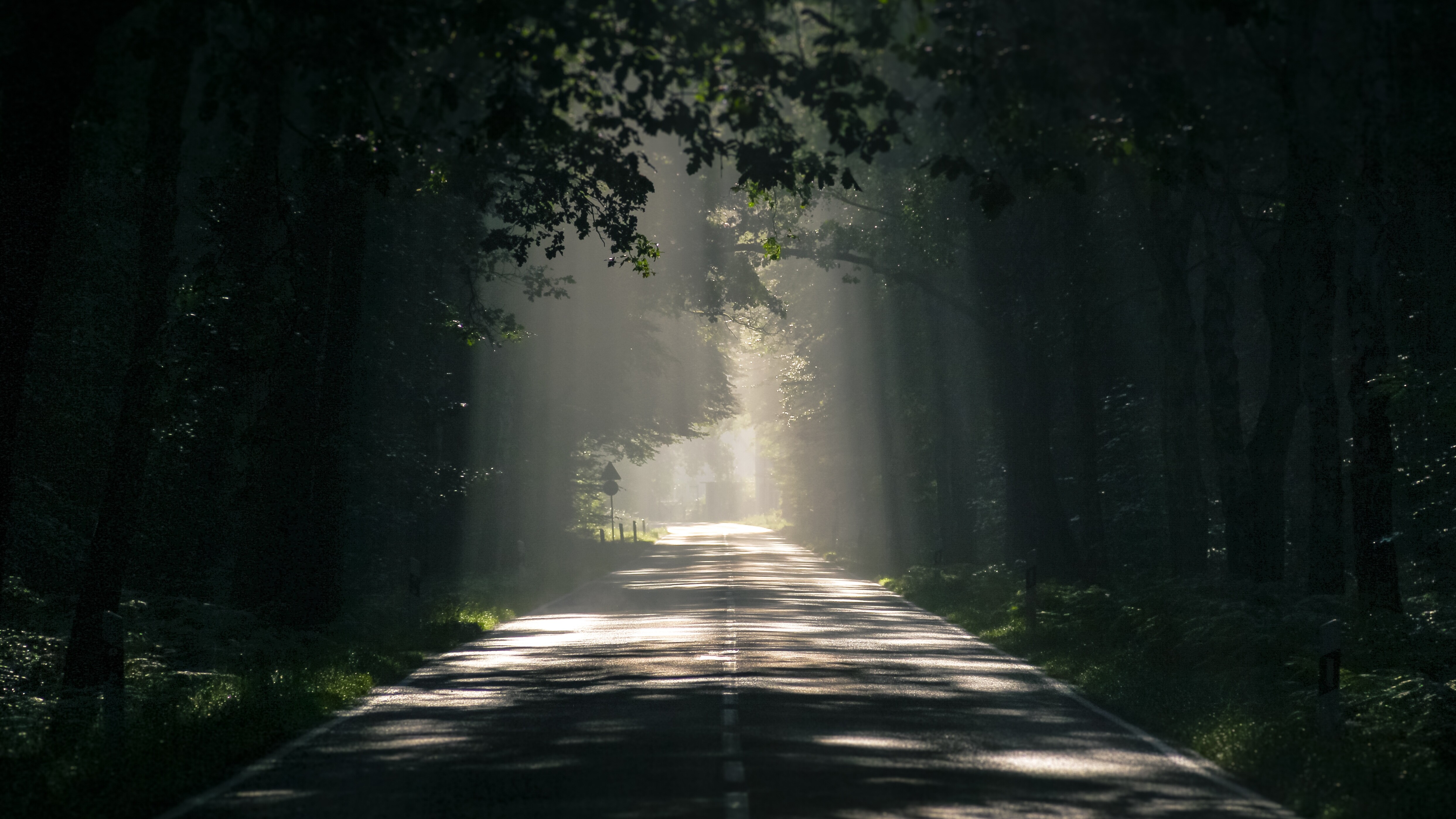 Versiegelt im Herzen Gottes